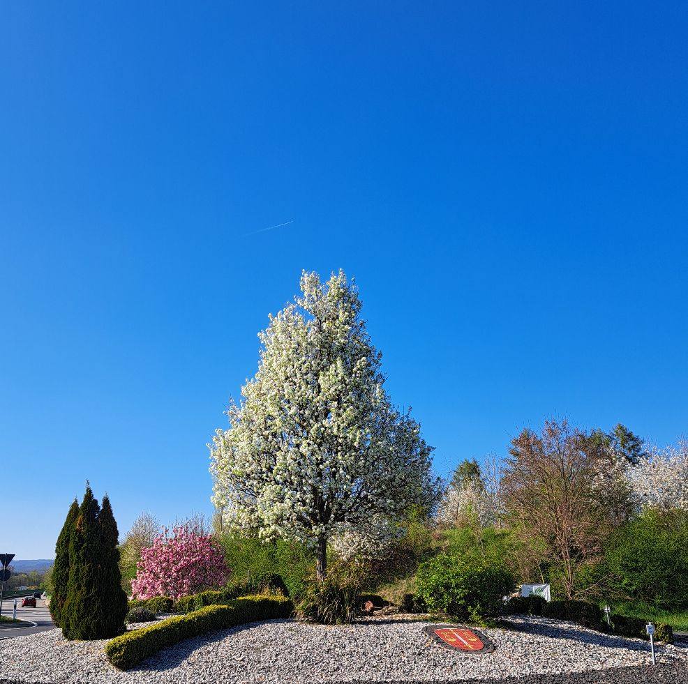 image from Kreiselpflege